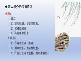 《認識多媒介》課件1