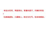 《祝福》课件2