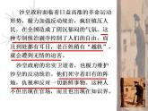 《装在套子里的人》课件2