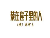 《装在套子里的人》课件4