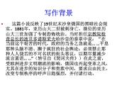《装在套子里的人》课件5