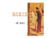 《装在套子里的人》课件8