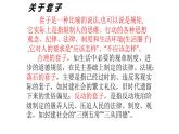 《装在套子里的人》课件8