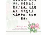 《装在套子里的人》课件11