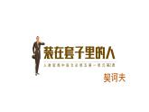 《装在套子里的人》课件13