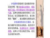 《装在套子里的人》课件14
