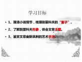 《装在套子里的人》课件17