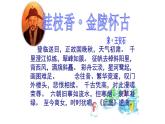 古诗词诵读《桂枝香·金陵怀古》课件1