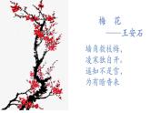 古诗词诵读《桂枝香·金陵怀古》课件4