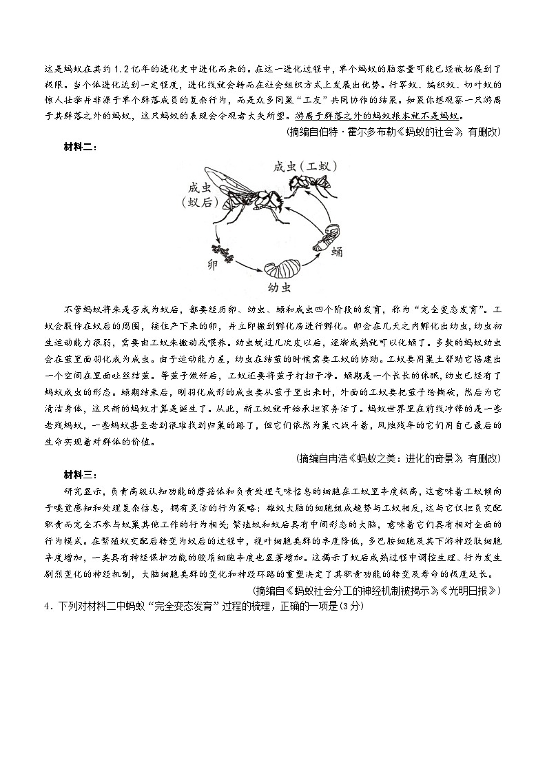 四川省绵阳市南山中学2024高三考前模拟预测语文试题(含答案)第3页