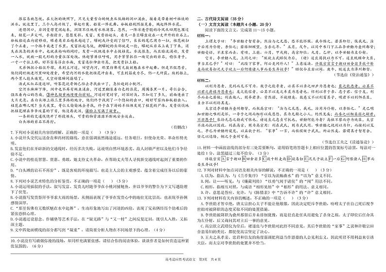 2024届四川省成都市树德中学高三下学期高考适应性考试语文试卷第3页