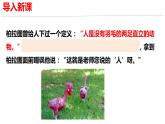 统编版高中语文选择性必修上册第4单元学习活动1发现潜藏的逻辑谬误 课件