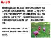 统编版高中语文选择性必修上册第4单元学习活动1发现潜藏的逻辑谬误 课件