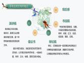 2024届高考语文复习：常考应用文写作格式 课件