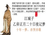 江城子·乙卯正月二十日夜记梦课件4