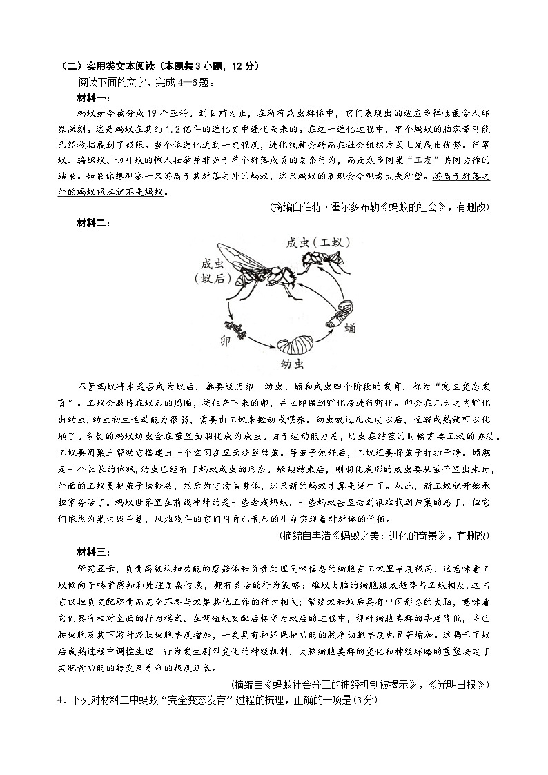 四川省绵阳市南山中学2024届高三下学期考前模拟预测语文试题 Word版含解析03