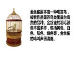 《玩偶之家（节选）》课件2