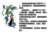《玩偶之家（节选）》课件2