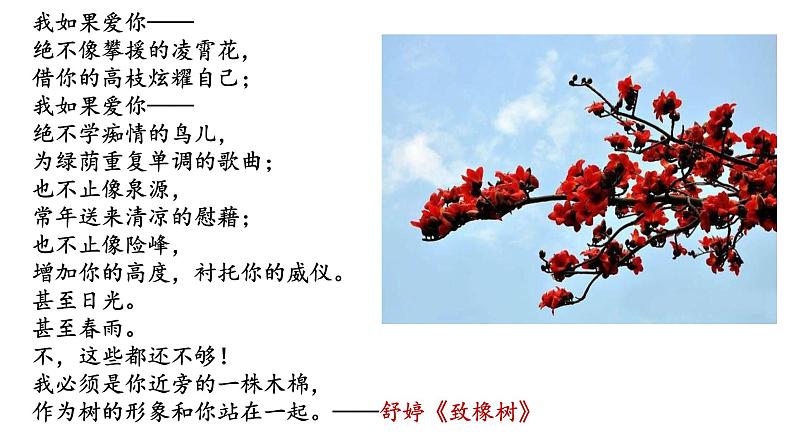 《玩偶之家（节选）》课件601