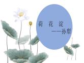 《荷花淀》课件1
