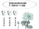 《荷花淀》课件1