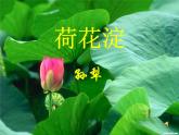《荷花淀》课件6