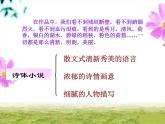 《荷花淀》课件6