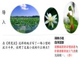 《荷花淀》课件7