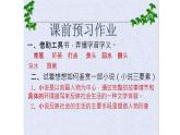 《荷花淀》课件9