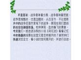 《荷花淀》课件9