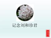《记念刘和珍君》课件2