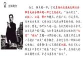 《记念刘和珍君》课件4