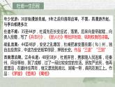 3.2《蜀相》课件+2023-2024学年统编版高中语文选择性必修下册