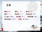 11《种树郭橐驼传》课件+2023-2024学年统编版高中语文选择性必修下册