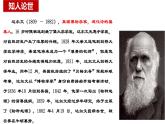《自然选择的证明》课件5