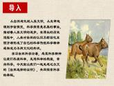 《自然选择的证明》课件4