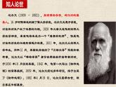 《自然选择的证明》课件4
