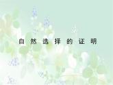 《自然选择的证明》课件3