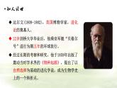 《自然选择的证明》课件1