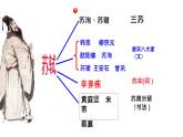《石钟山记》课件7