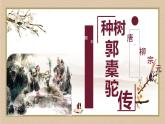 《种树郭橐驼传》课件15