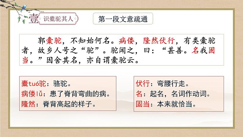 《种树郭橐驼传》课件1506