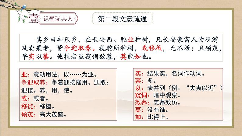 《种树郭橐驼传》课件1507