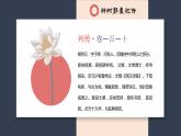 《种树郭橐驼传》课件13