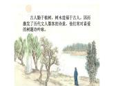 《种树郭橐驼传》课件11