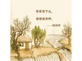 《种树郭橐驼传》课件11
