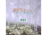 《种树郭橐驼传》课件10