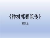 《种树郭橐驼传》课件7