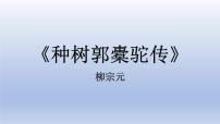 人教统编版选择性必修 下册11 *种树郭橐驼传示范课ppt课件