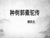 《种树郭橐驼传》课件6